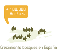 Gestió Forestal Gestió Forestal